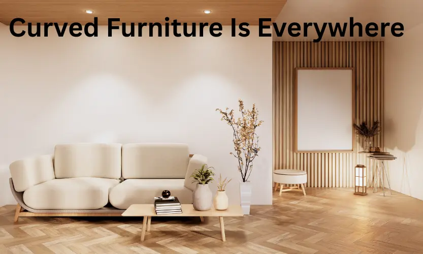 curved furniture is everywhere