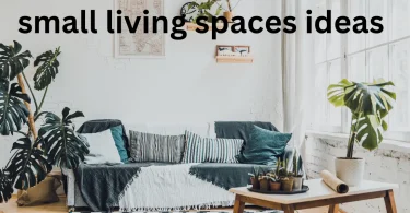 small living spaces ideas