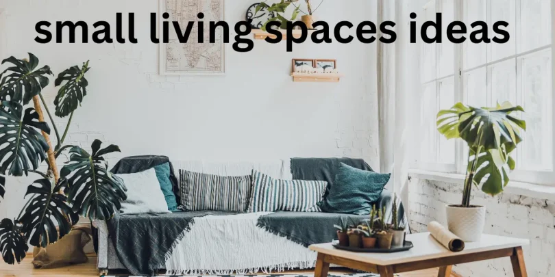 small living spaces ideas