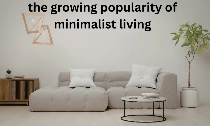 the growing popularity of minimalist living