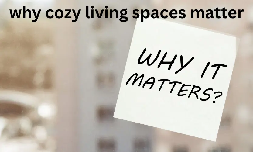 why cozy living spaces matter